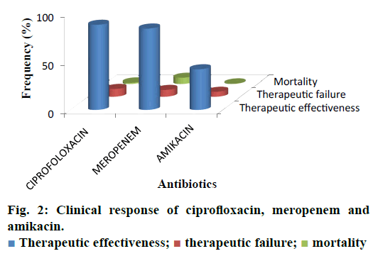 IJPS-ciprofloxacin-meropenem