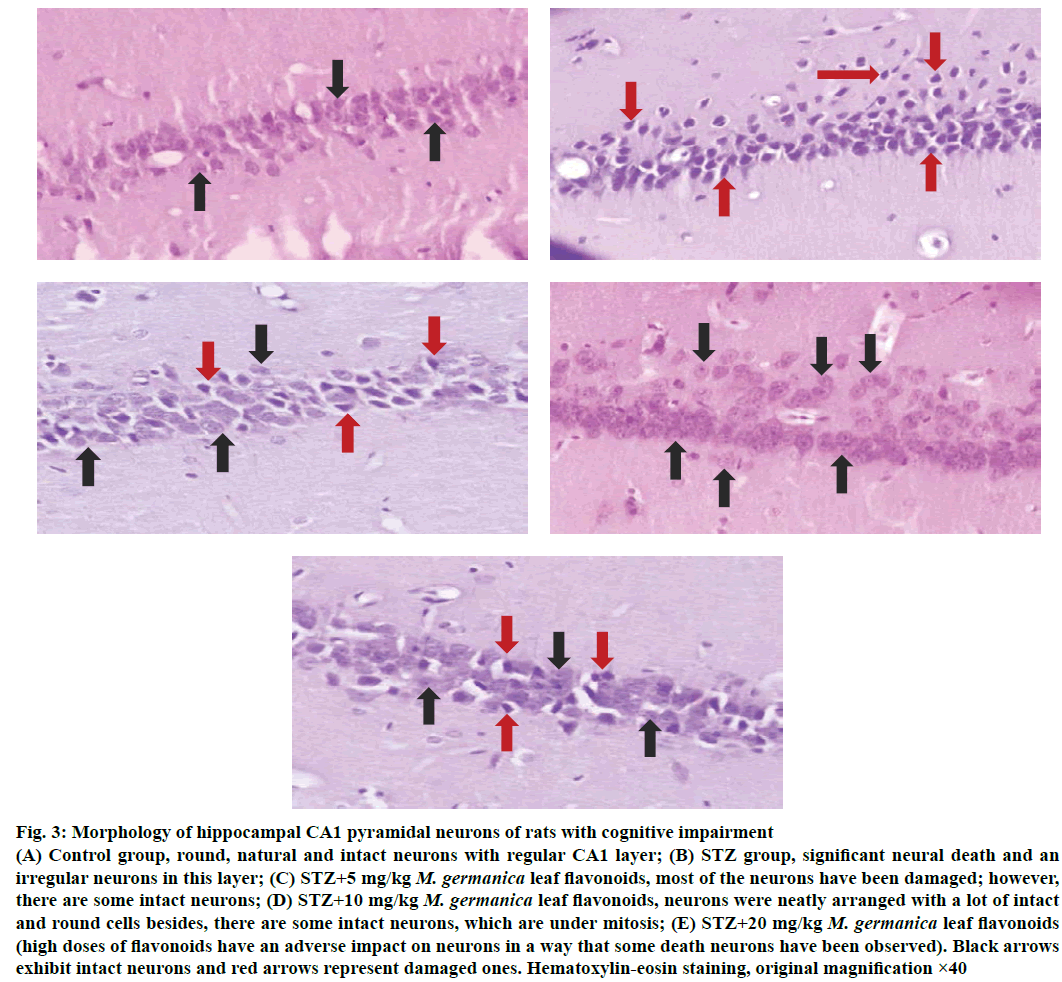 IJPS-cognitive-impairment