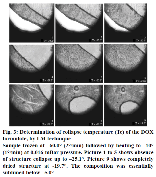 IJPS-collapse-temperature