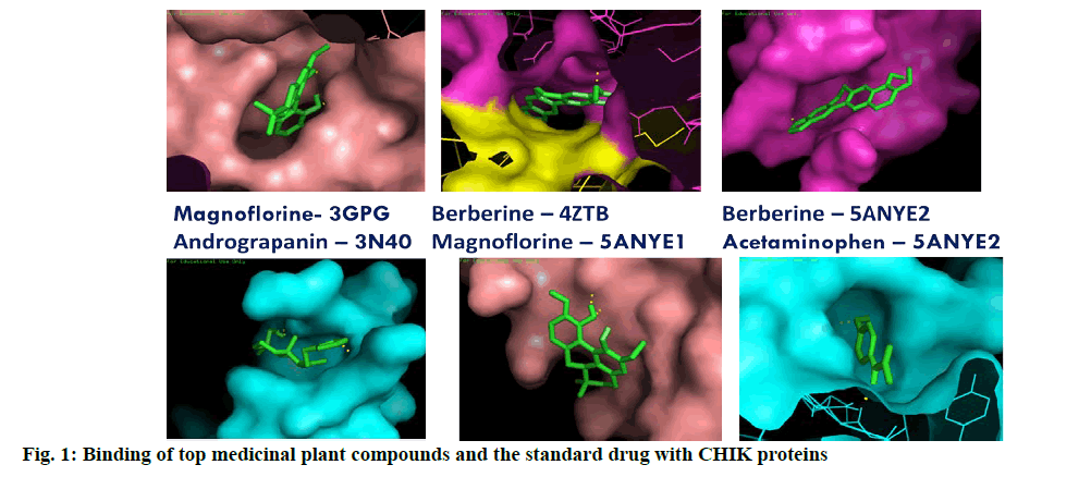 IJPS-compounds