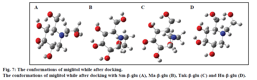 IJPS-conformations-of-miglitol