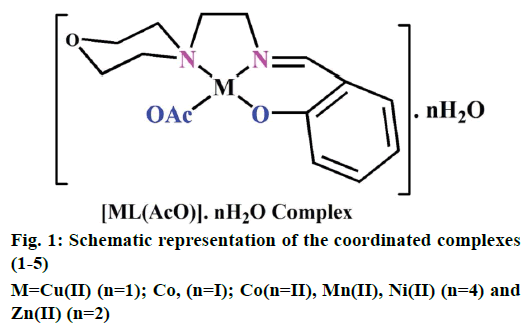 IJPS-coordinated-complexes