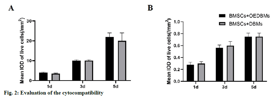 IJPS-cytocompatibility