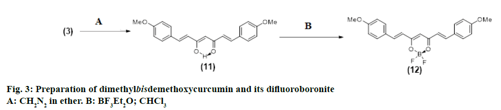IJPS-dimethylbisdemethoxycurcumin