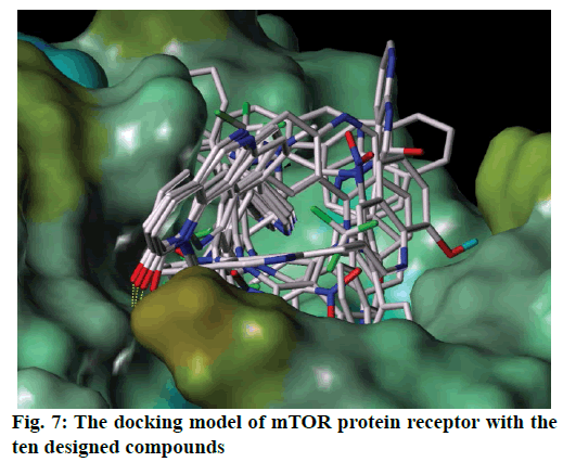 IJPS-docking-model