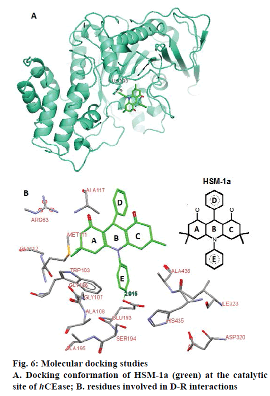 IJPS-docking-studies