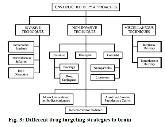 IJPS-drug-targeting