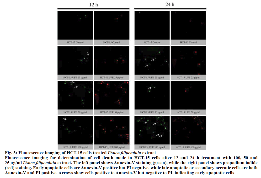 IJPS-early-apoptotic