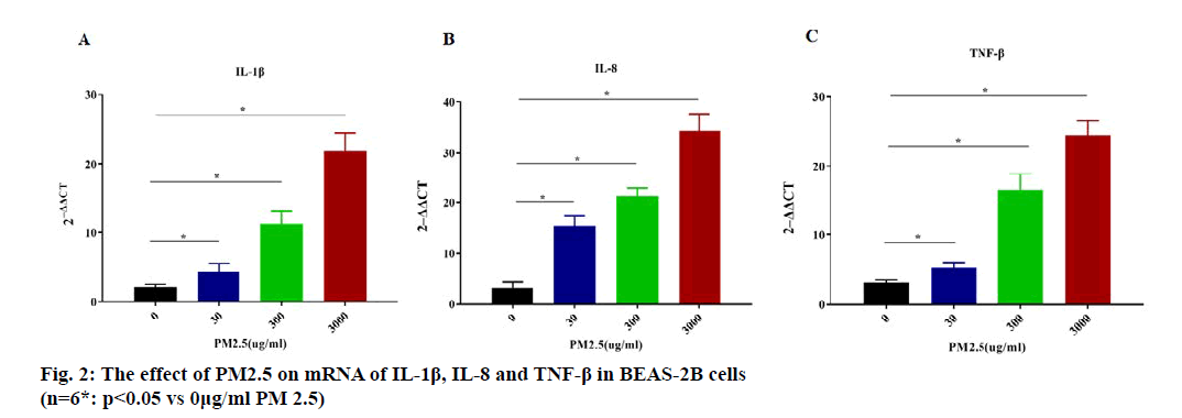 IJPS-effect