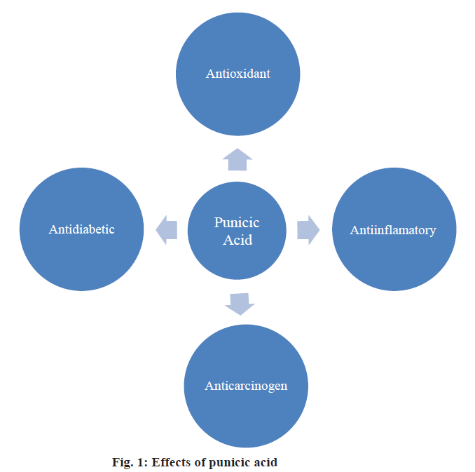 IJPS-effects-punicic-acid