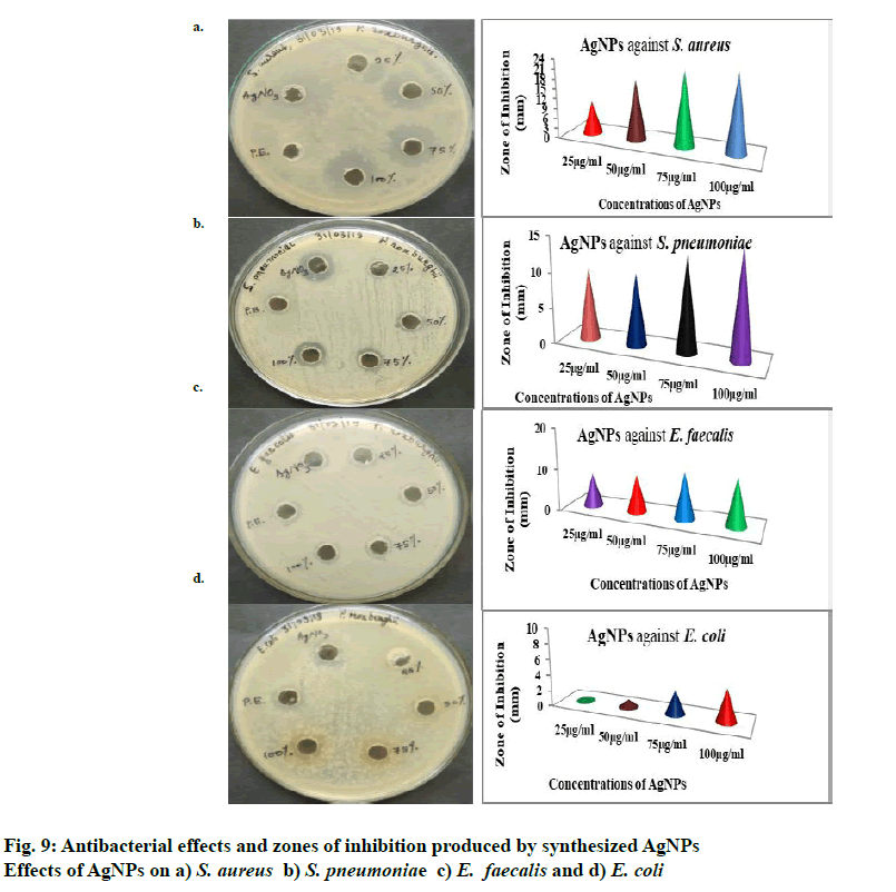 IJPS-effects-zones