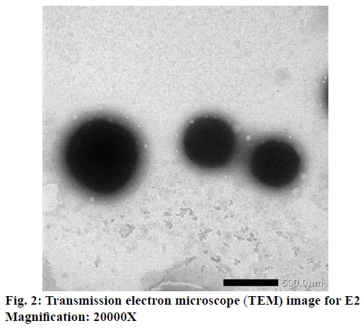 IJPS-electron-microscope