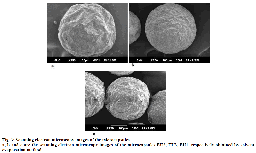 IJPS-electron-microscopy