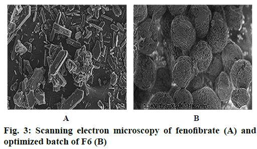 IJPS-electron-microscopy