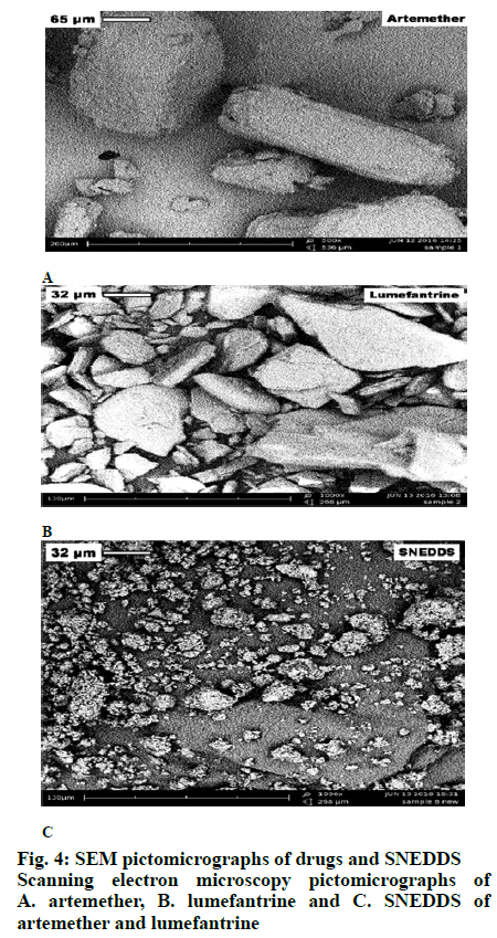 IJPS-electron-microscopy