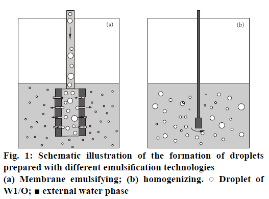 IJPS-emulsification-technologies