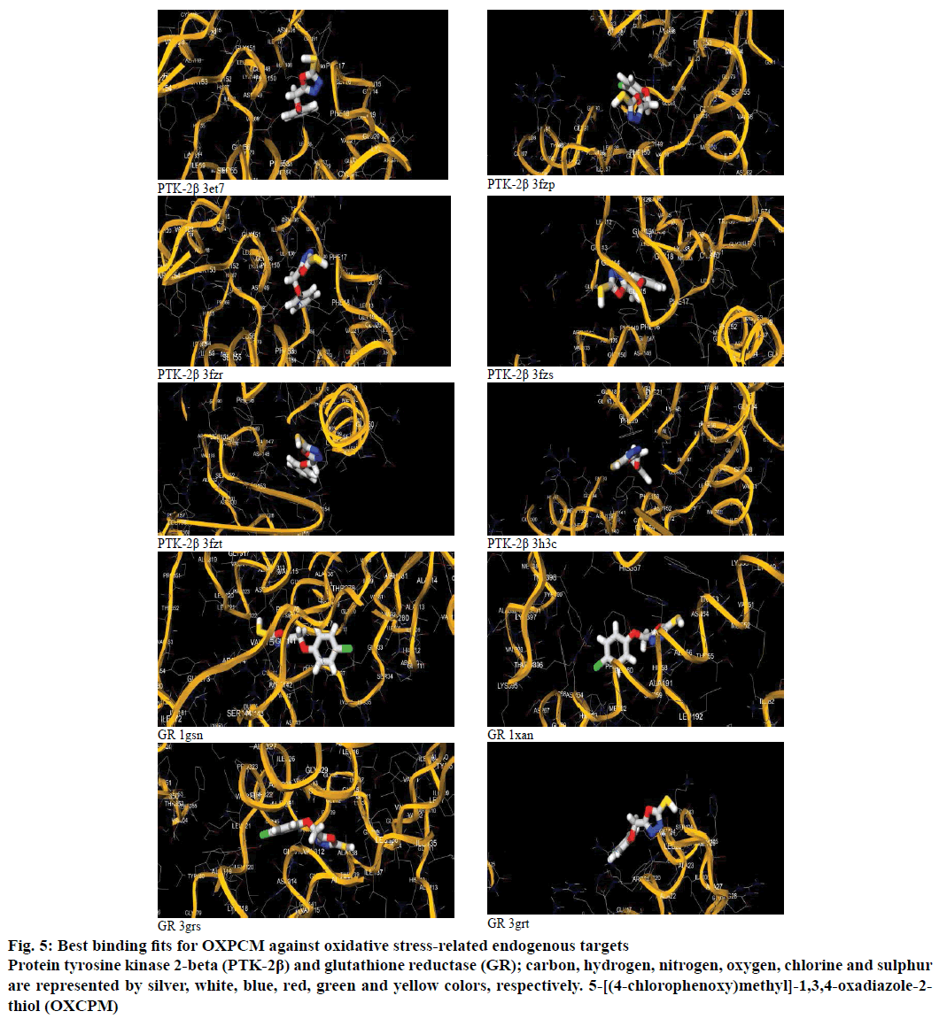 IJPS-endogenous-targets