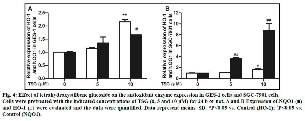 IJPS-enzyme-expression