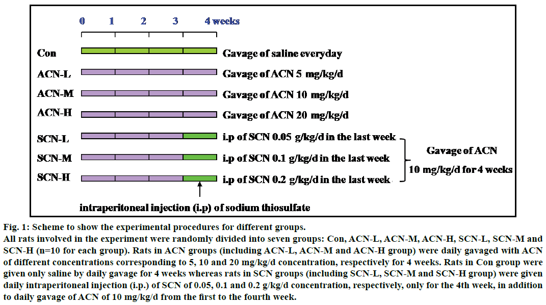 IJPS-experimental-procedures