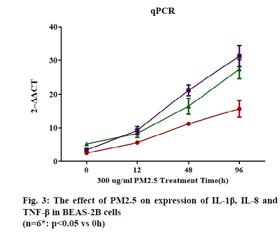 IJPS-expression