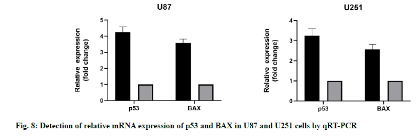 IJPS-expression