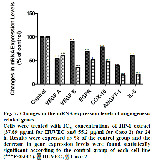 IJPS-expression-levels-angiogenesis