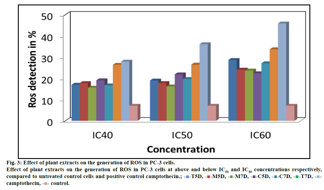 IJPS-extracts-generation