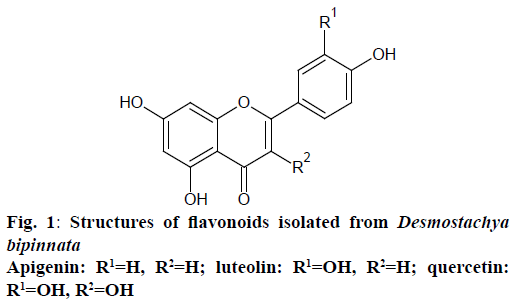 IJPS-flavonoids-isolated