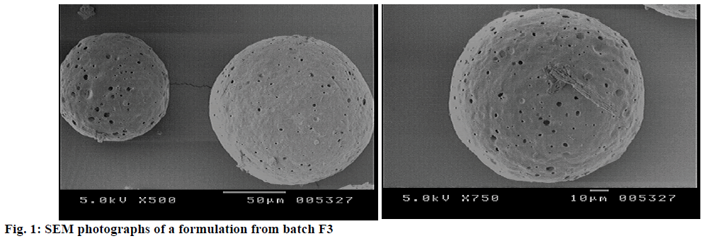 IJPS-formulation-batch-F3