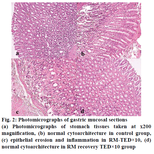 IJPS-gastric-mucosal