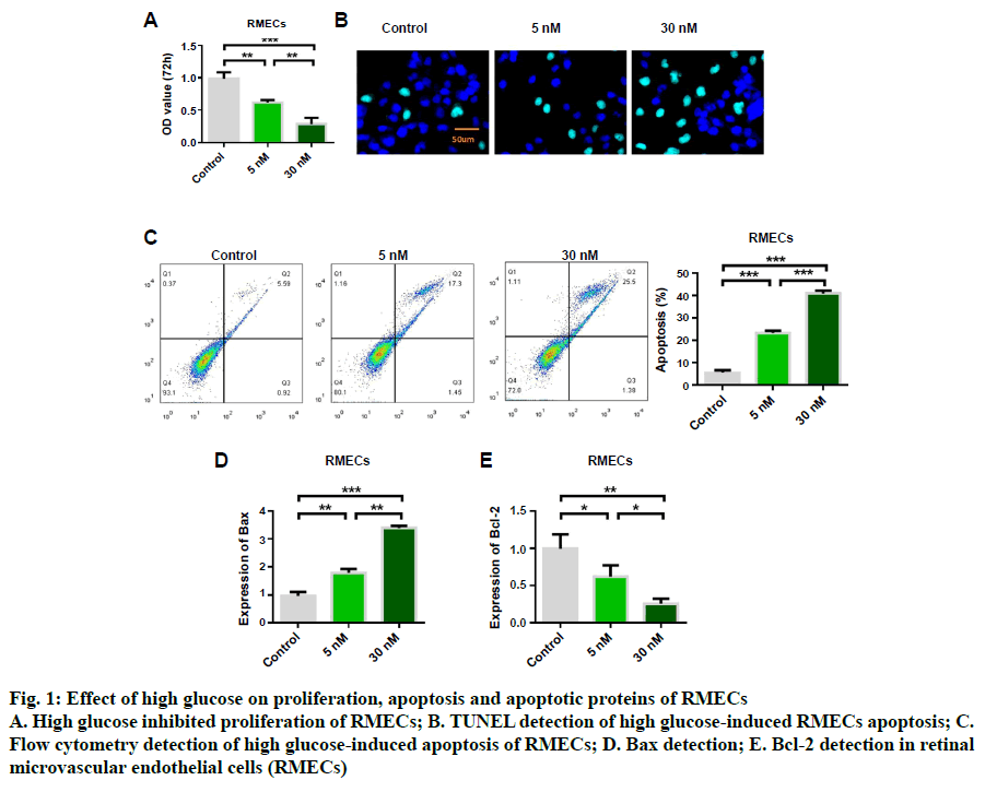 IJPS-glucose-proliferation