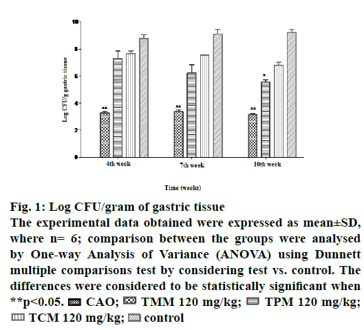 IJPS-gram-gastric-tissue