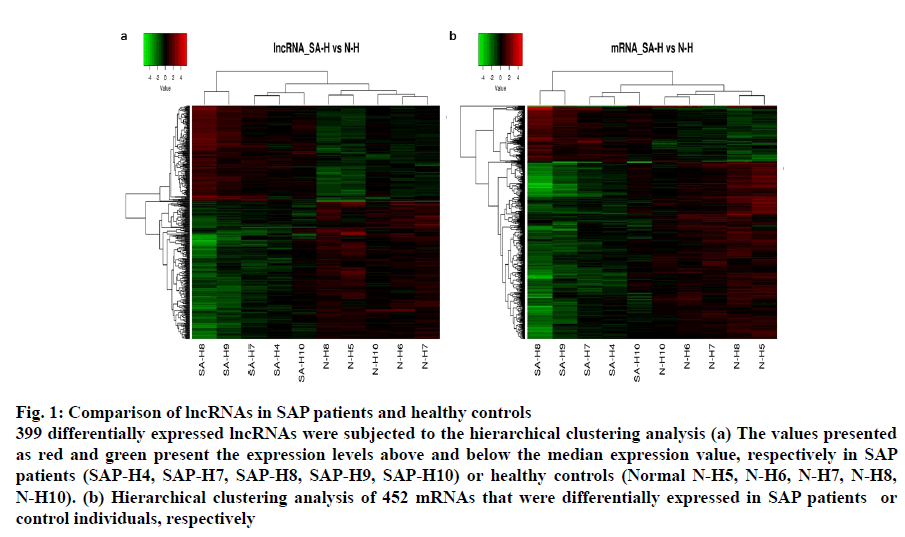 IJPS-healthy-controls