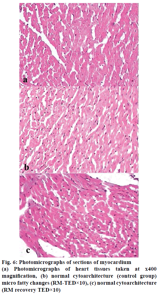 IJPS-heart-tissues-taken