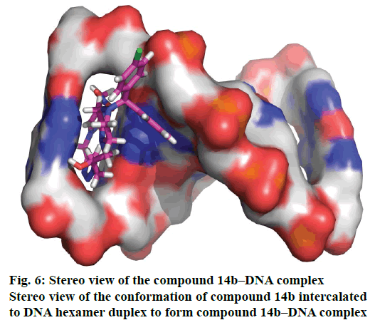 IJPS-hexamer-duplex