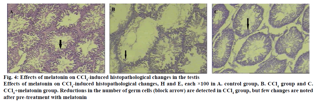 IJPS-histopathological