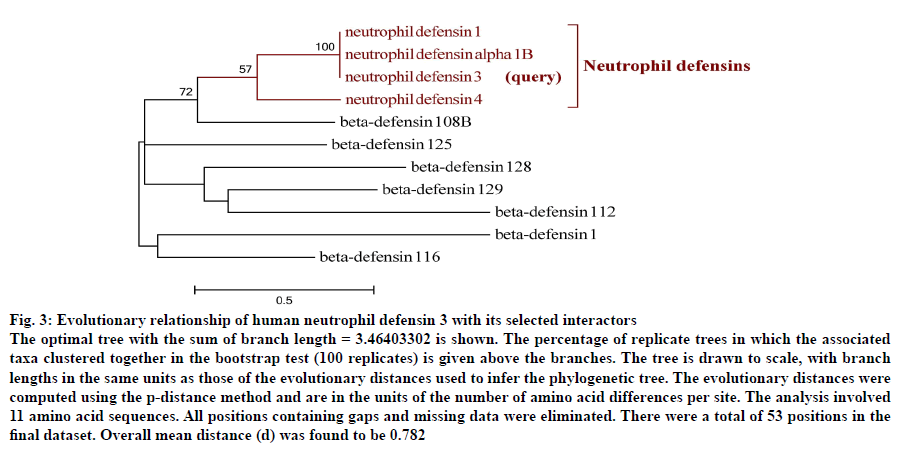 IJPS-human-neutrophil