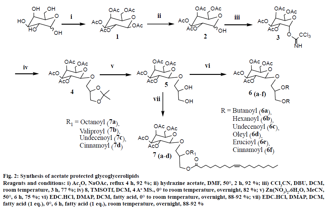 IJPS-hydrazine-acetate