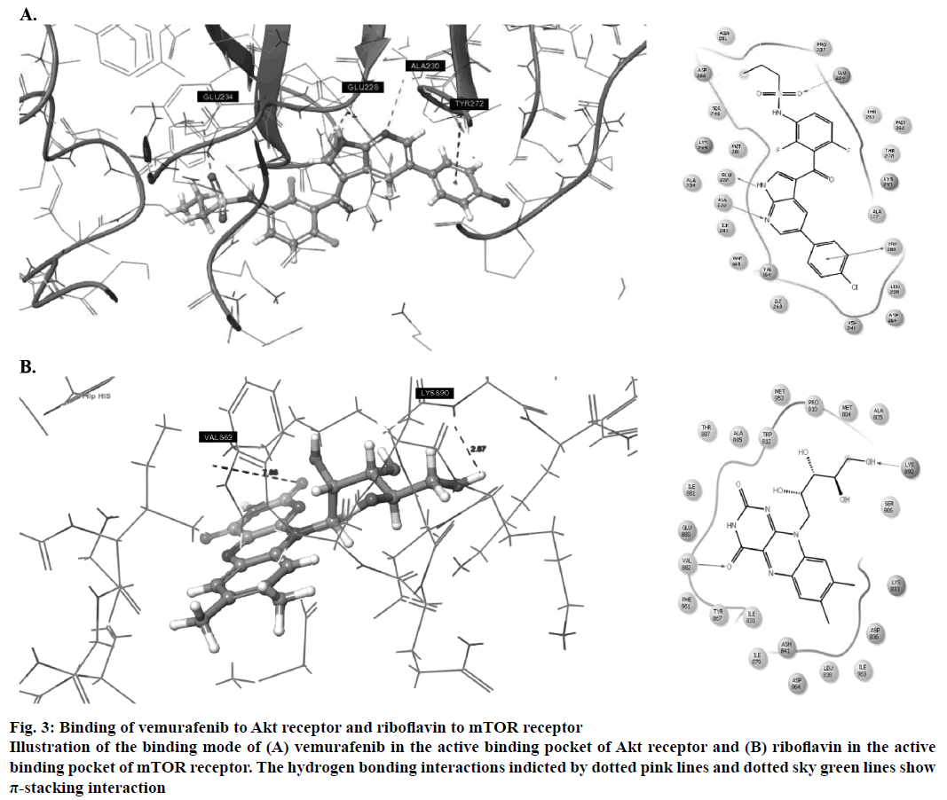 IJPS-hydrogen-bonding