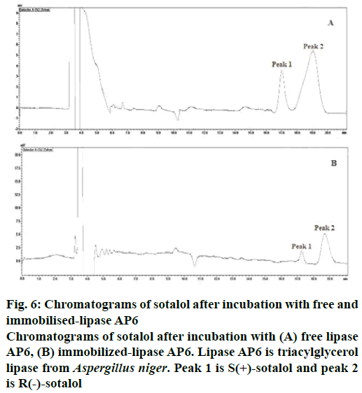 IJPS-immobilised-lipase