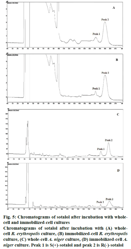 IJPS-immobilized-cell-cultures