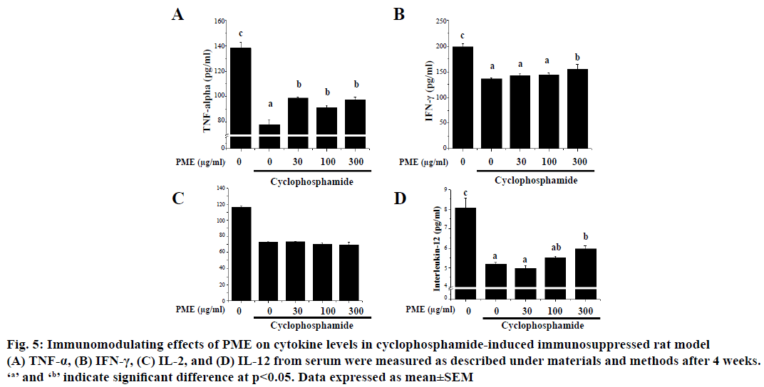 IJPS-immunosuppressed-rat-model