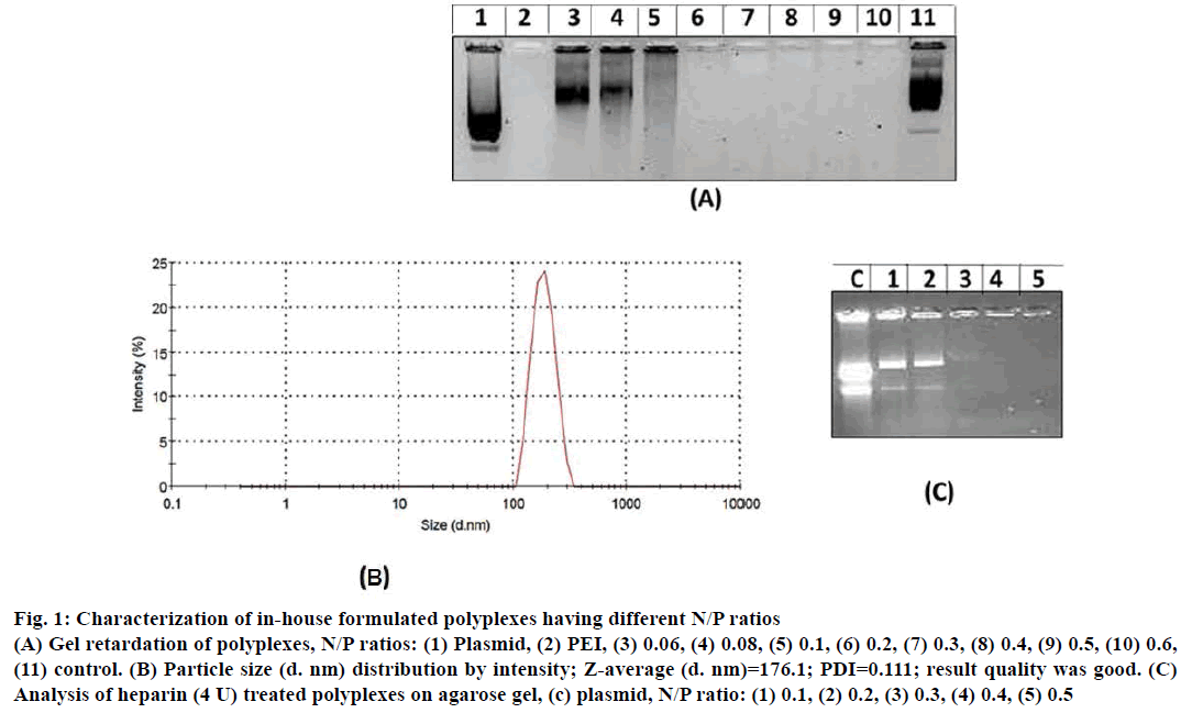 IJPS-in-house-formulated