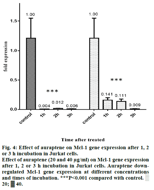 IJPS-incubation-Jurkat-cells