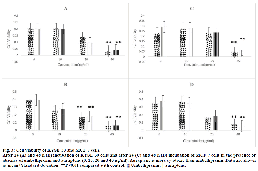 IJPS-incubation-KYSE-30-cells