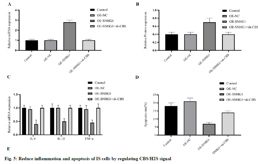 IJPS-inflammation