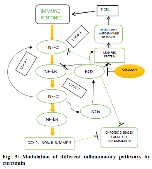 IJPS-inflammatory-pathways