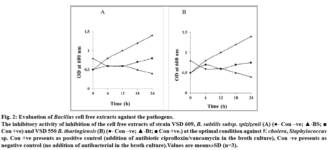 IJPS-inhibitory-activity-inhibition