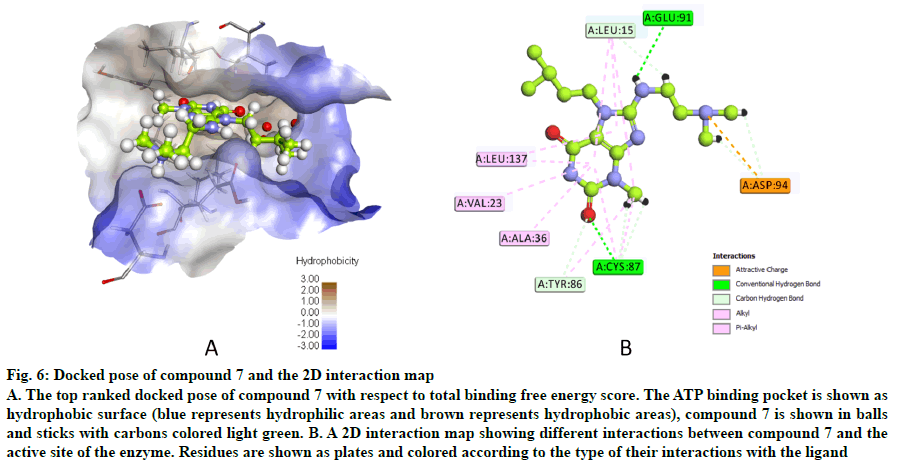 IJPS-interaction-map