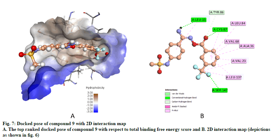 IJPS-interaction-map